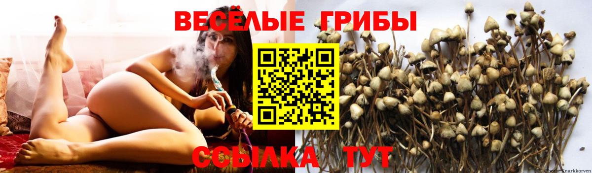 Галлюциногенные грибы прущие грибы  Галлюциногенные грибы прущие грибы  Подольск  сколько стоит  Вход с VPN 